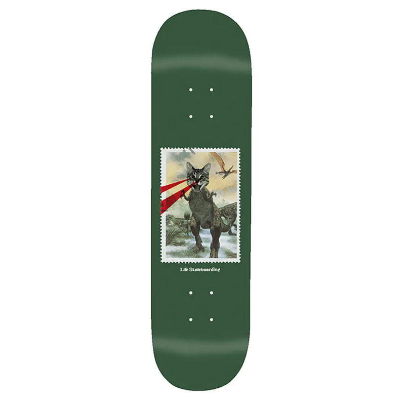 Life - Dinocat Green 8.5 + Lija de regalo